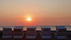 Sylt (82)